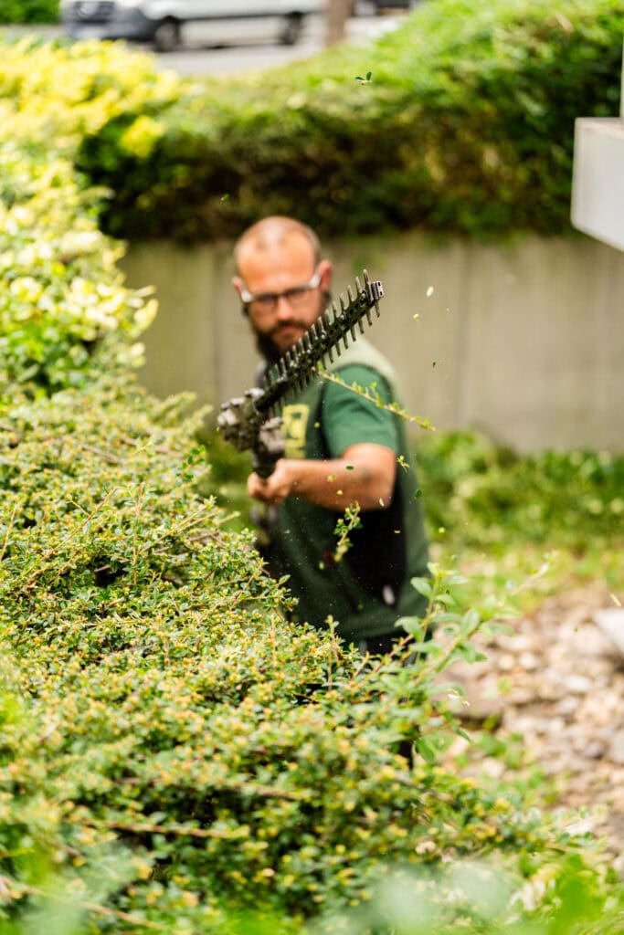 Mitarbeiter beim Heckenschnitt in einer Grünanlage